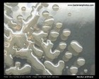 bacillus anthracis virulent strain